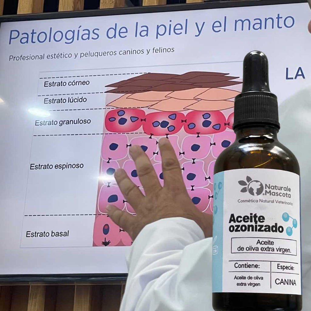 Cómo el Aceite de Ozono Puede Transformar la Piel Dañada por la Sarna de tu Mascota