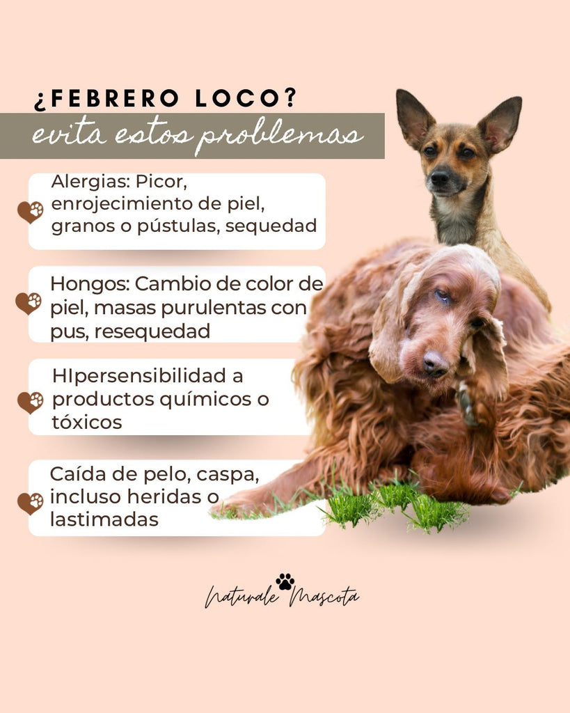 ¡Cuidado con febrero loco!