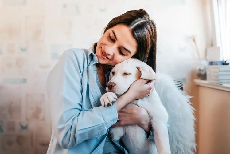 6 trucos que te ayudarán a conectar con tu mascota