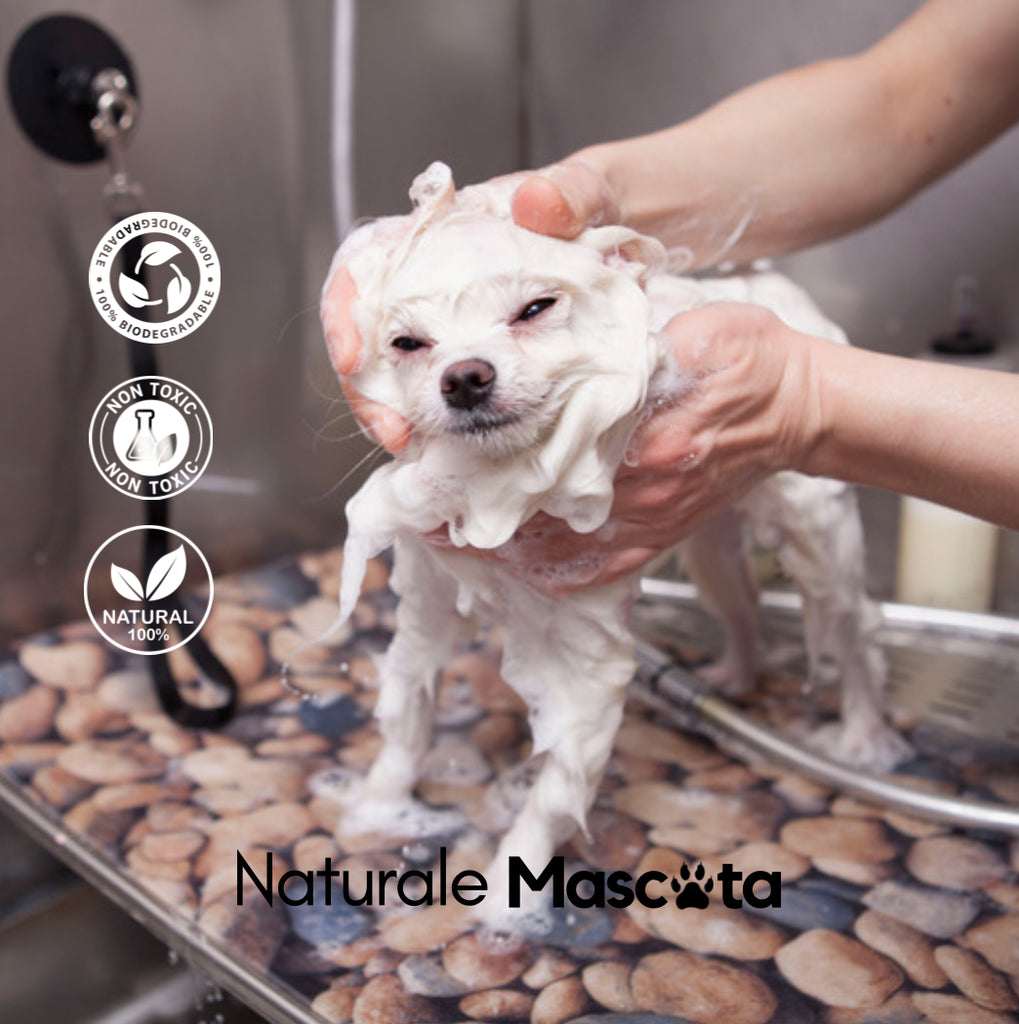 La Importancia de Usar Productos Naturales en Estéticas Caninas