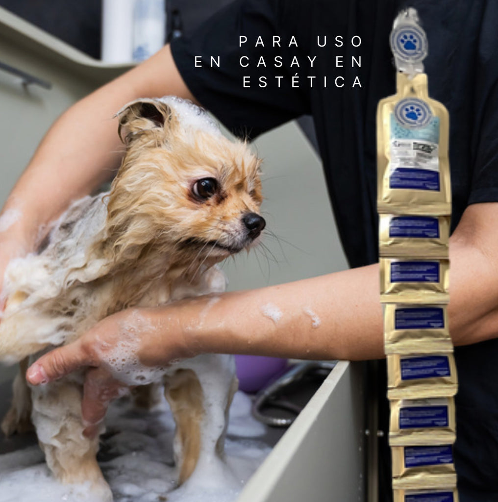 ¿Cómo lograr que tu estética canina sea rentable y única?